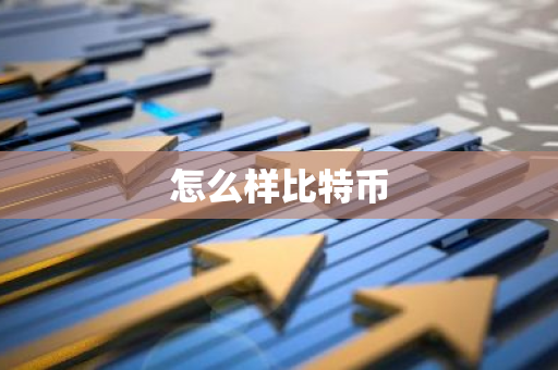 怎么样比特币