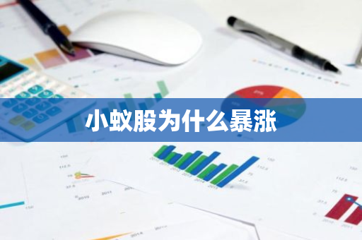 小蚁股为什么暴涨-第1张图片-智财锋资讯网 小蚁股为什么暴涨-第1张图片-智财锋资讯网