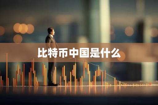 比特币中国是什么