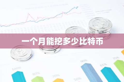 一个月能挖多少比特币-第1张图片-智财锋资讯网