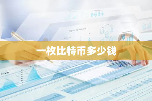 一枚比特币多少钱-第1张图片-智财锋资讯网