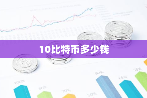 10比特币多少钱