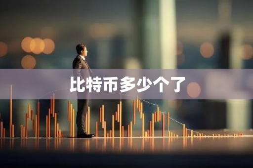 比特币多少个了-第1张图片-智财锋资讯网