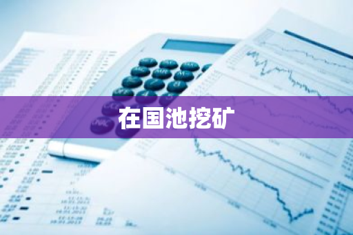 在国池挖矿
