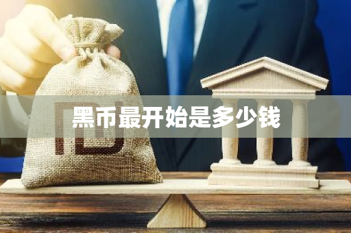黑币最开始是多少钱