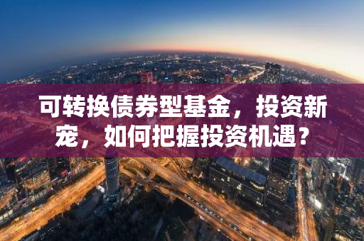 可转换债券型基金,投资新宠,如何把握投资机遇?-第1张图片-智财锋资讯网 可转换债券型基金,投资新宠,如何把握投资机遇?-第1张图片-智财锋资讯网
