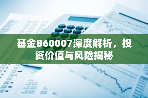 基金B60007深度解析，投资价值与风险揭秘-第1张图片-智财锋资讯网