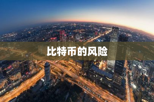 比特币的风险-第1张图片-智财锋资讯网