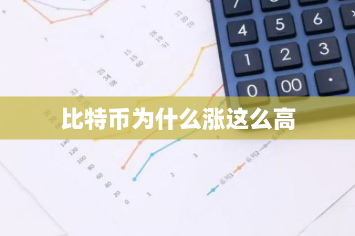 比特币为什么涨这么高