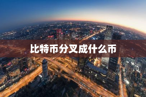比特币分叉成什么币-第1张图片-智财锋资讯网