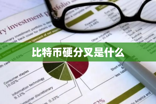 比特币硬分叉是什么-第1张图片-智财锋资讯网