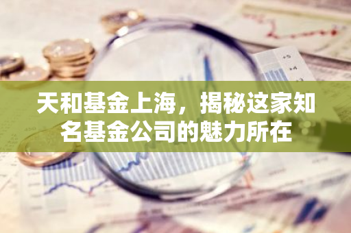 天和基金上海，揭秘这家知名基金公司的魅力所在