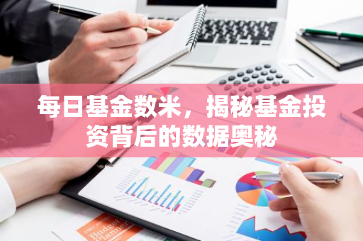 每日基金数米，揭秘基金投资背后的数据奥秘