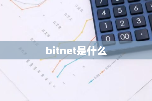 bitnet是什么-第1张图片-智财锋资讯网