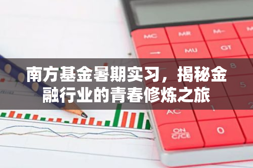 南方基金暑期实习，揭秘金融行业的青春修炼之旅