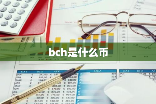 bch是什么币