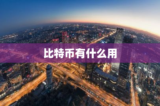 比特币有什么用