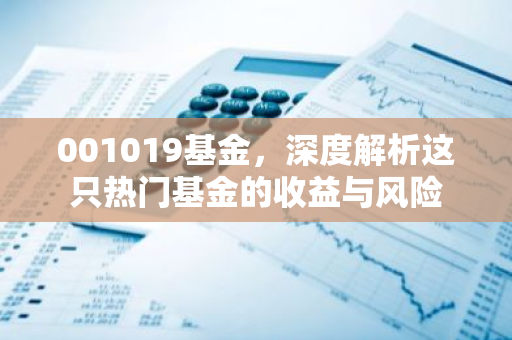 001019基金，深度解析这只热门基金的收益与风险