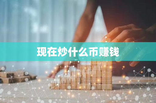 现在炒什么币赚钱