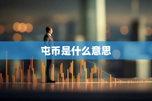 屯币是什么意思