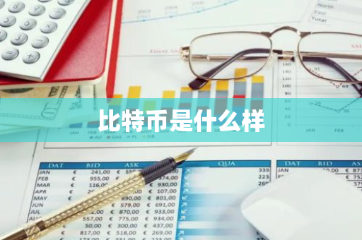 比特币是什么样