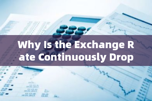 Why Is the Exchange Rate Continuously Dropping?Analyzing the Factors Behind the Decline