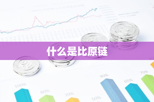 什么是比原链-第1张图片-智财锋资讯网