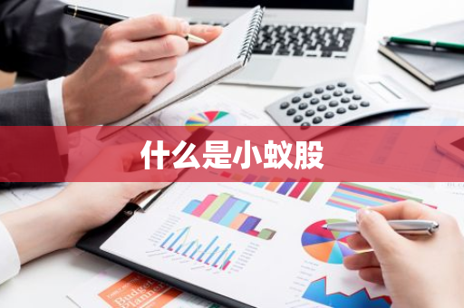 什么是小蚁股-第1张图片-智财锋资讯网