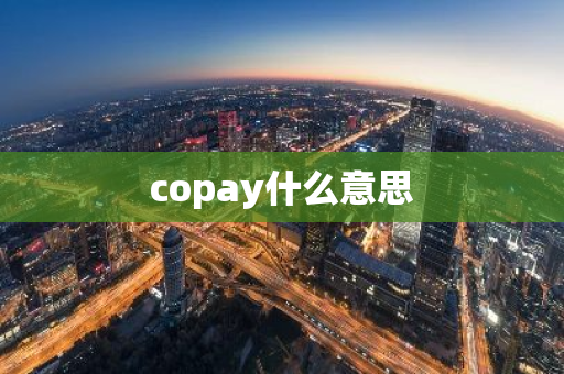 copay什么意思