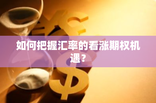 如何把握汇率的看涨期权机遇？