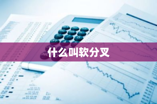 什么叫软分叉-第1张图片-智财锋资讯网