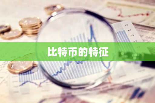比特币的特征-第1张图片-智财锋资讯网