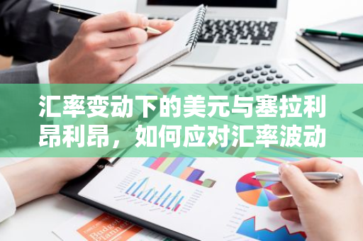 汇率变动下的美元与塞拉利昂利昂，如何应对汇率波动？