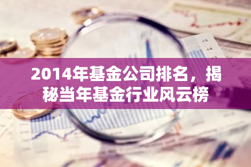 2014年基金公司排名,揭秘当年基金行业风云榜-第1张图片-智财锋资讯网 2014年基金公司排名,揭秘当年基金行业风云榜-第1张图片-智财锋资讯网