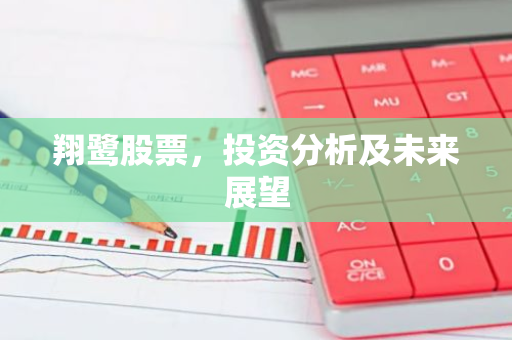 翔鹭股票，投资分析及未来展望