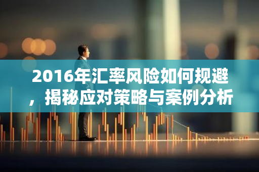 2016年汇率风险如何规避，揭秘应对策略与案例分析