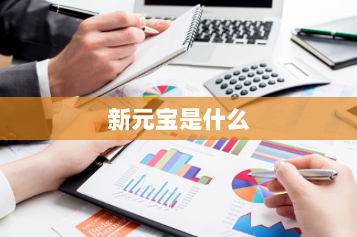 新元宝是什么-第1张图片-智财锋资讯网