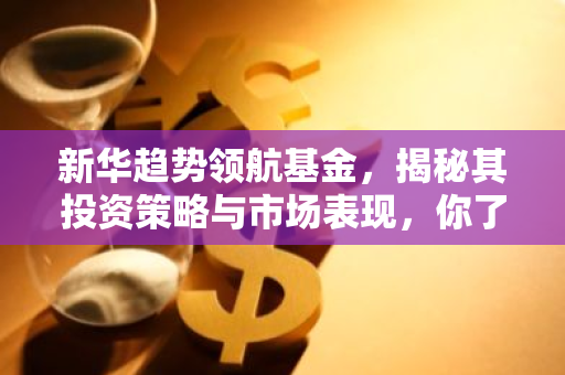 新华趋势领航基金，揭秘其投资策略与市场表现，你了解多少？-第1张图片-智财锋资讯网