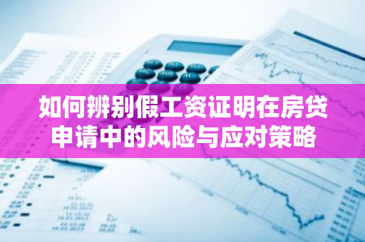如何辨别假工资证明在房贷申请中的风险与应对策略