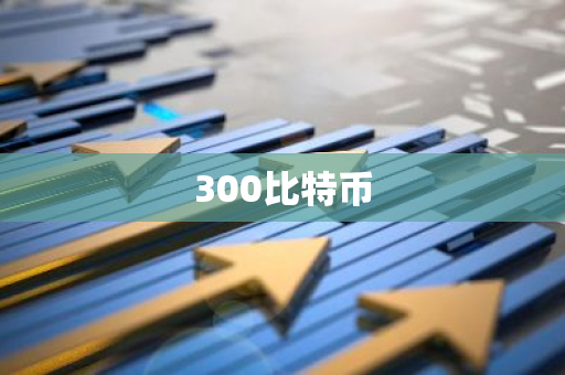 300比特币
