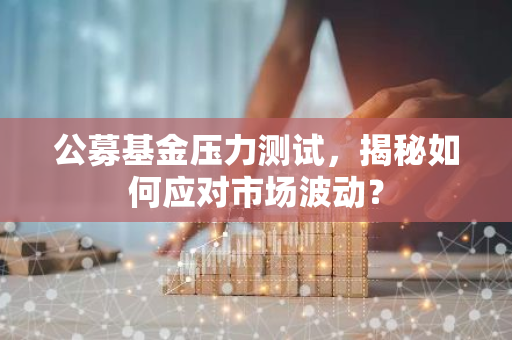 公募基金压力测试，揭秘如何应对市场波动？-第1张图片-智财锋资讯网