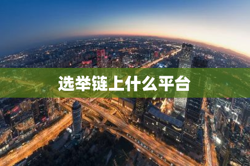 选举链上什么平台