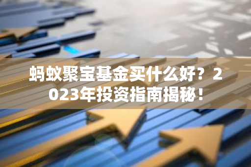 蚂蚁聚宝基金买什么好?2023年投资指南揭秘!-第1张图片-智财锋资讯网 蚂蚁聚宝基金买什么好?2023年投资指南揭秘!-第1张图片-智财锋资讯网