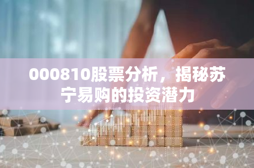 000810股票分析，揭秘苏宁易购的投资潜力