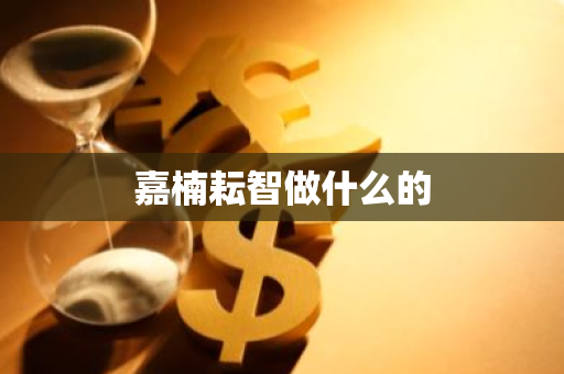 嘉楠耘智做什么的-第1张图片-智财锋资讯网