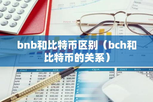 bnb和比特币区别（bch和比特币的关系）-第1张图片-智财锋资讯网