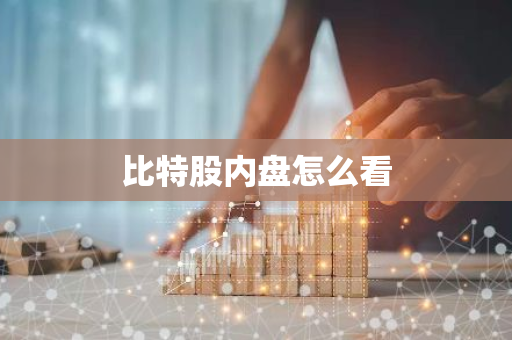 比特股内盘怎么看-第1张图片-智财锋资讯网