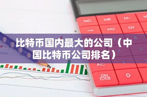 比特币国内最大的公司（中国比特币公司排名）-第1张图片-智财锋资讯网