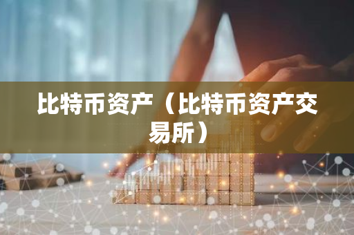 比特币资产（比特币资产交易所）-第1张图片-智财锋资讯网