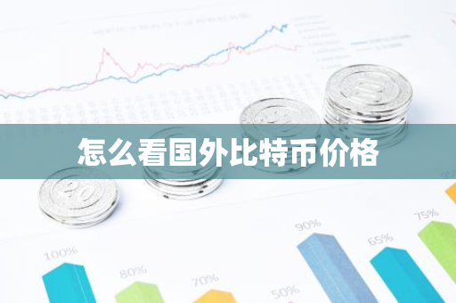 怎么看国外比特币价格-第1张图片-智财锋资讯网